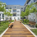 Image of The Cove (1)