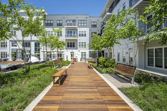 Image of The Cove (1)