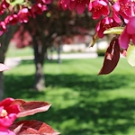 Image of Accura Healthcare Of Knoxville, LLC (3)