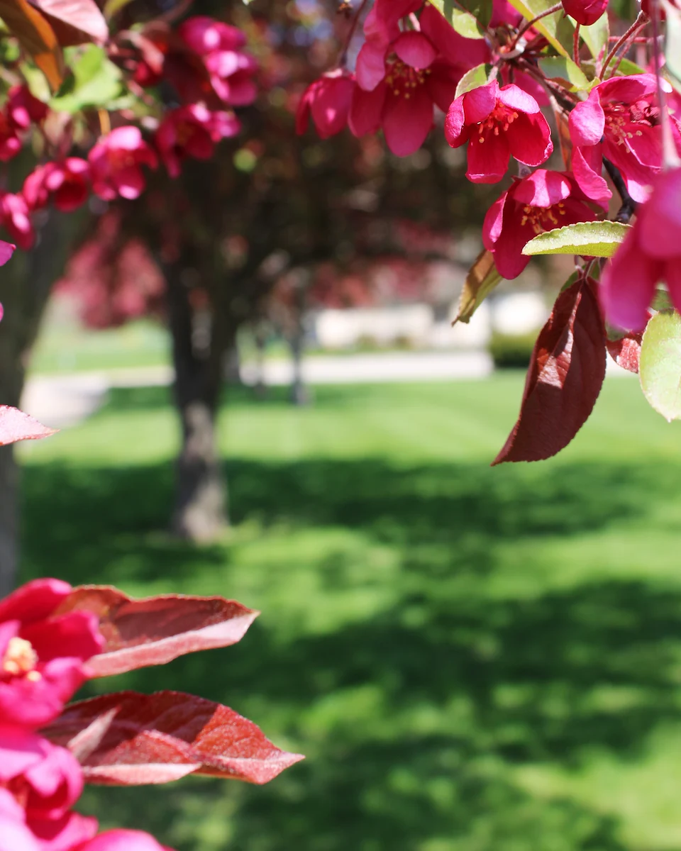 Image of Accura Healthcare Of Knoxville, LLC (3)