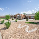 Image of Willow Tree (3)