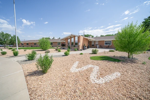 Image of Willow Tree (3)