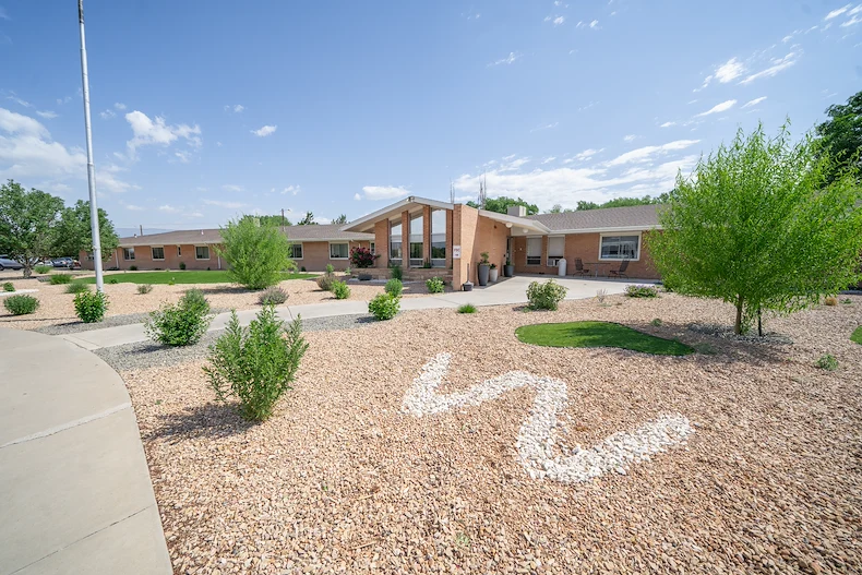 Image of Willow Tree (3)