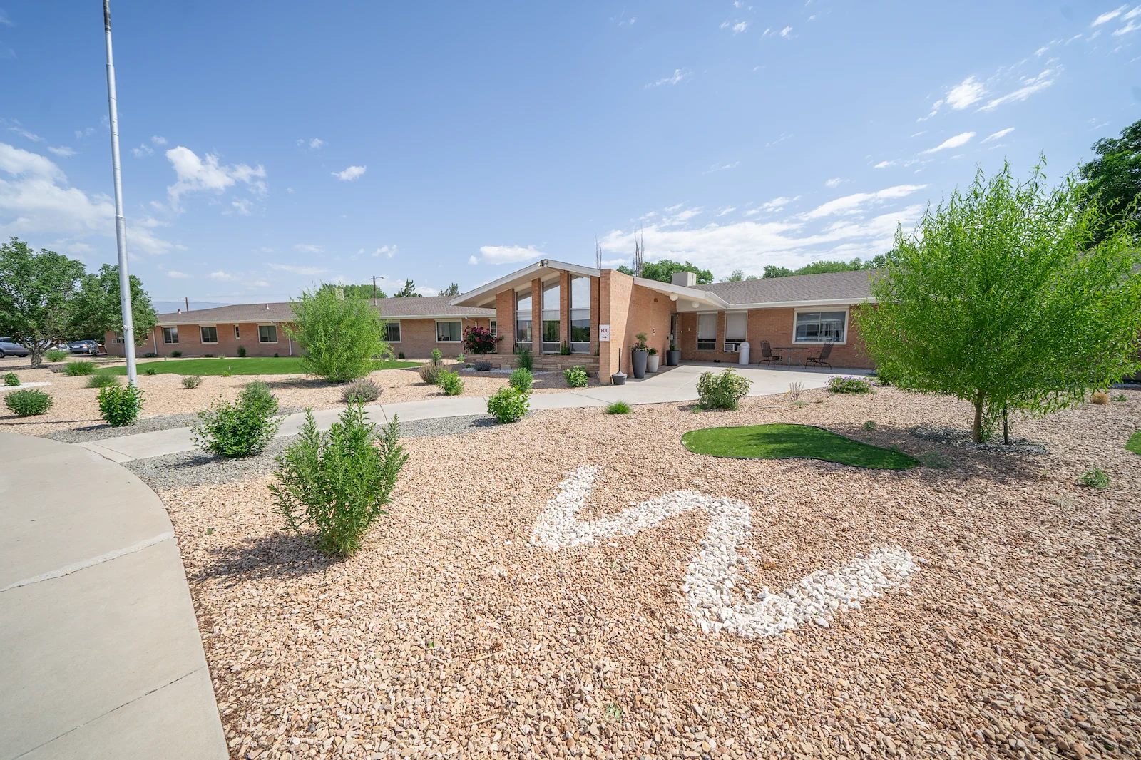 Image of Willow Tree (3)