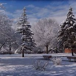 Image of Calvin Community (4)