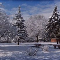 Image of Calvin Community (4)