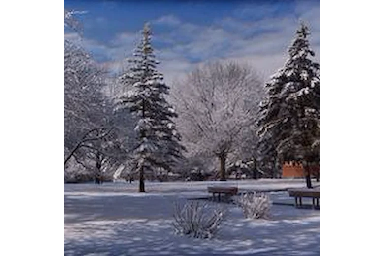 Image of Calvin Community (4)