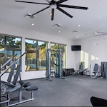 Image of Junipers (3)