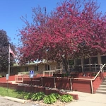 Image of The Estates At Excelsior LLC (1)