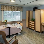 Image of Elderwood Of Scallop Shell At Wakefield (2)