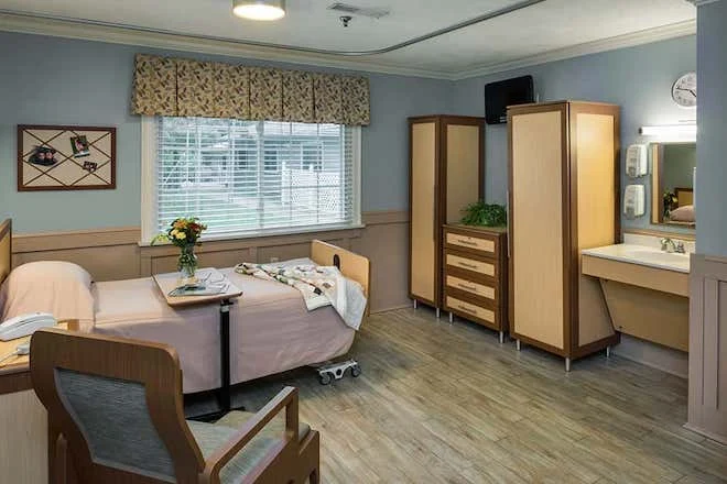 Image of Elderwood Of Scallop Shell At Wakefield (2)