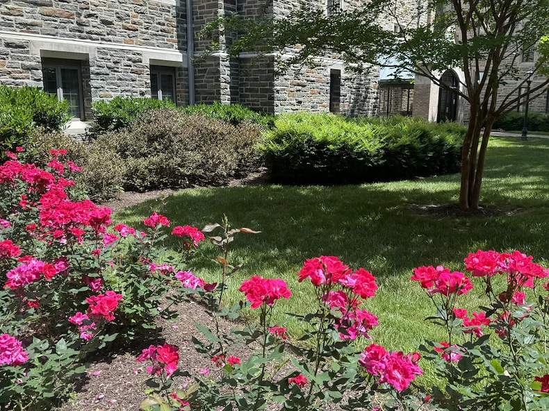 Image of Maryland Masonic Homes Ltd (6)