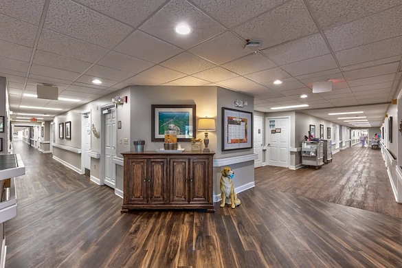 Image of Cherry Springs Village (6)