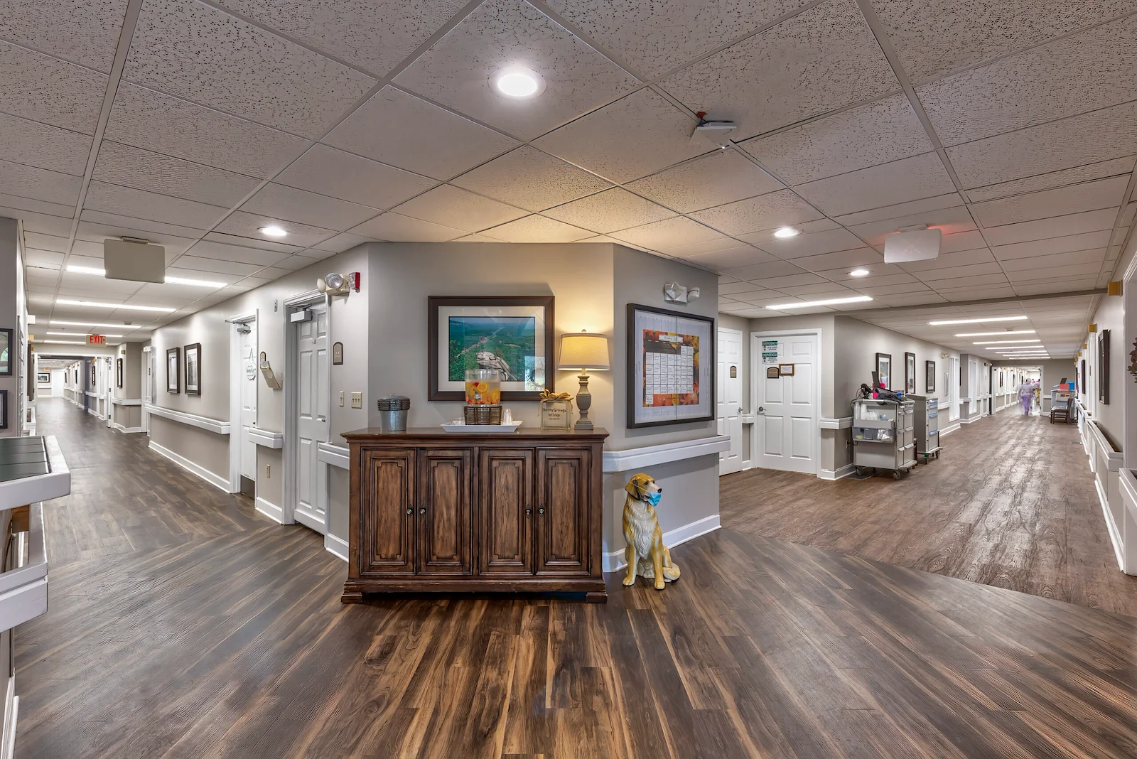 Image of Cherry Springs Village (6)