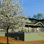 Image of Margaret T Morris Center (2)