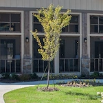 Image of Thrive at Brow Wood (7)