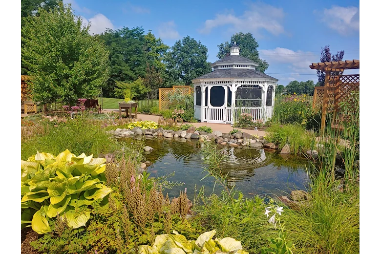 Our garden/gazebo