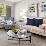 Image of Holiday Redbud Hills (7)