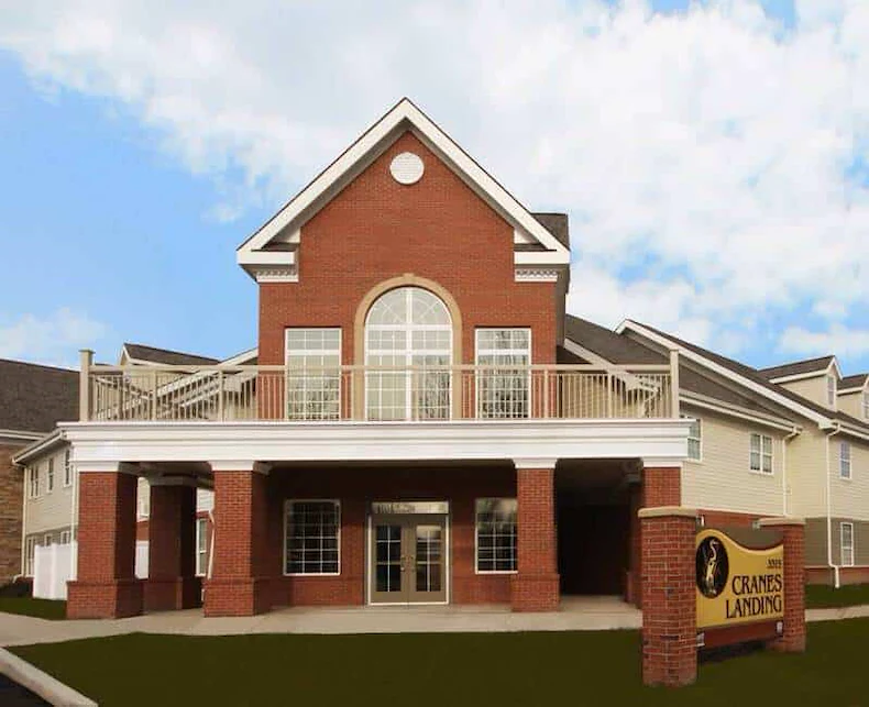 Image of Cranes Landing (1)