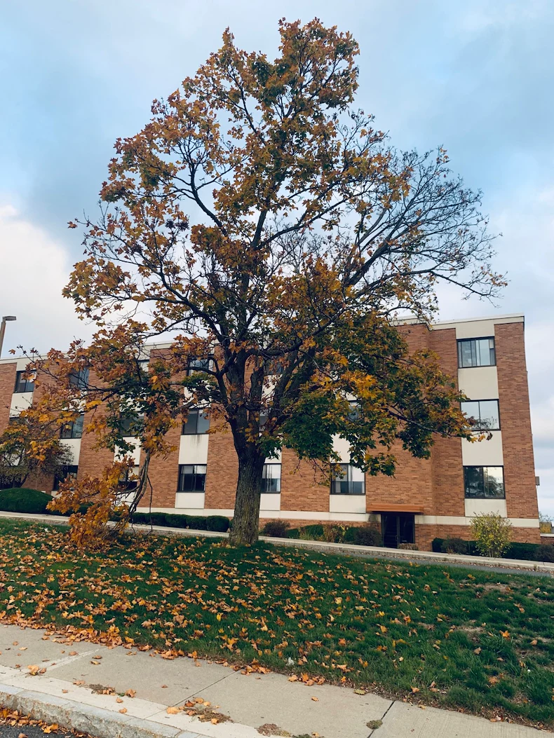 Image of Mission Care At Holyoke (1)