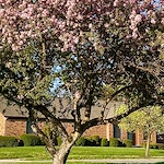 Image of Westerwood Senior Living (1)