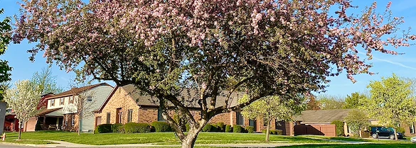 Image of Westerwood Senior Living (1)