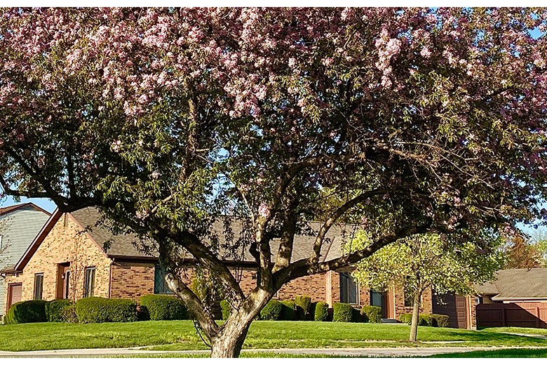 Image of Westerwood Senior Living (1)