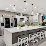 Image of Silver Leaf Rowlett (5)