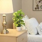 Image of Regency Care Center (8)