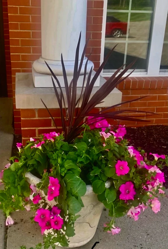 Image of Knollwood Retirement Community (3)