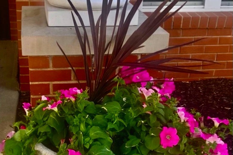 Image of Knollwood Retirement Community (3)