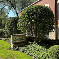 Image of ALIYA of Evanston (1)