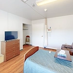 Image of Willow Tree (10)