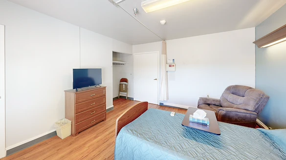 Image of Willow Tree (10)