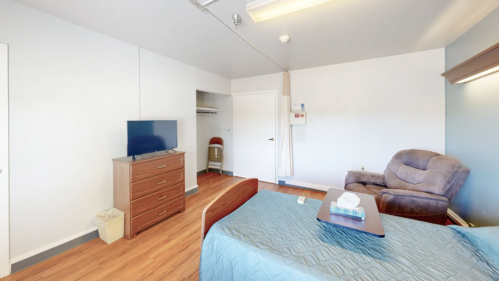 Image of Willow Tree (10)