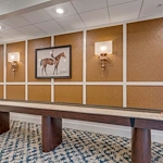 Image of Everlan of Louisville (5)