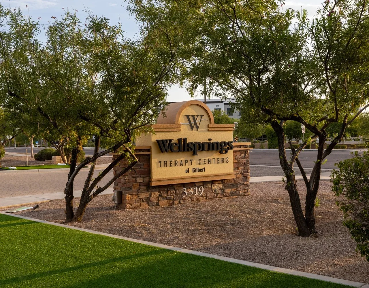 Image of Wellsprings of Gilbert (2)