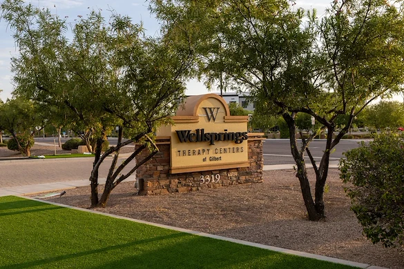 Image of Wellsprings of Gilbert (2)
