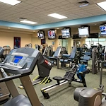 Image of Oak Hammock at the University of Florida (7)