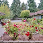 Image of Agility Health and Rehabilitation (3)