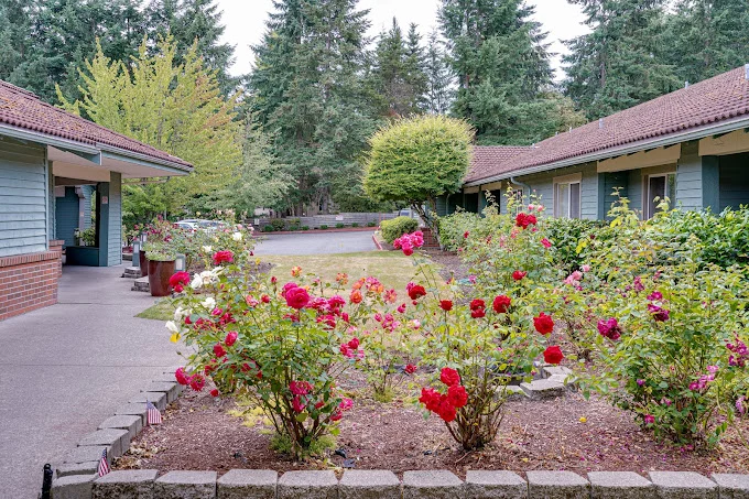 Image of Agility Health and Rehabilitation (3)