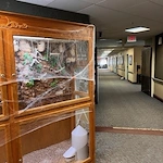 Image of Little Chute Health Services (4)