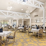 Image of Ivy Park of Wellington (5)