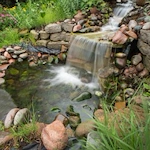 Image of Delmar Gardens Of Lenexa (8)