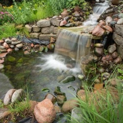 Image of Delmar Gardens Of Lenexa (8)