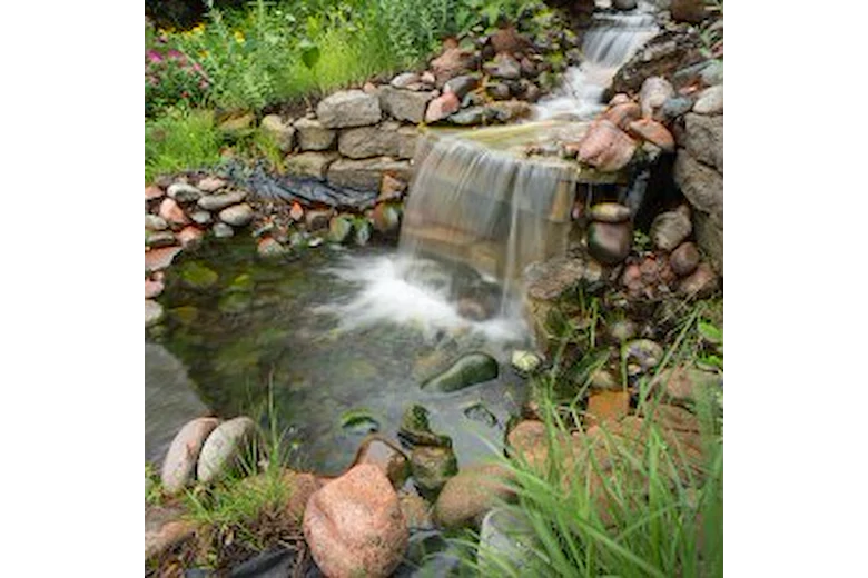 Image of Delmar Gardens Of Lenexa (8)