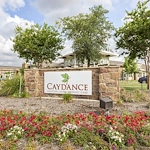 Image of Caydance (2)