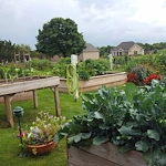 Image of Peterson Meadows (6)