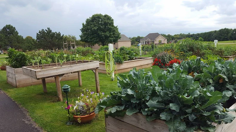 Image of Peterson Meadows (6)