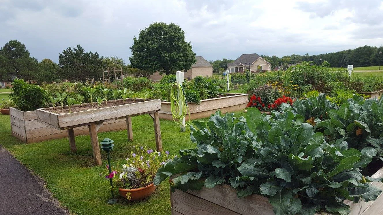 Image of Peterson Meadows (6)